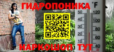 jwh Свободный